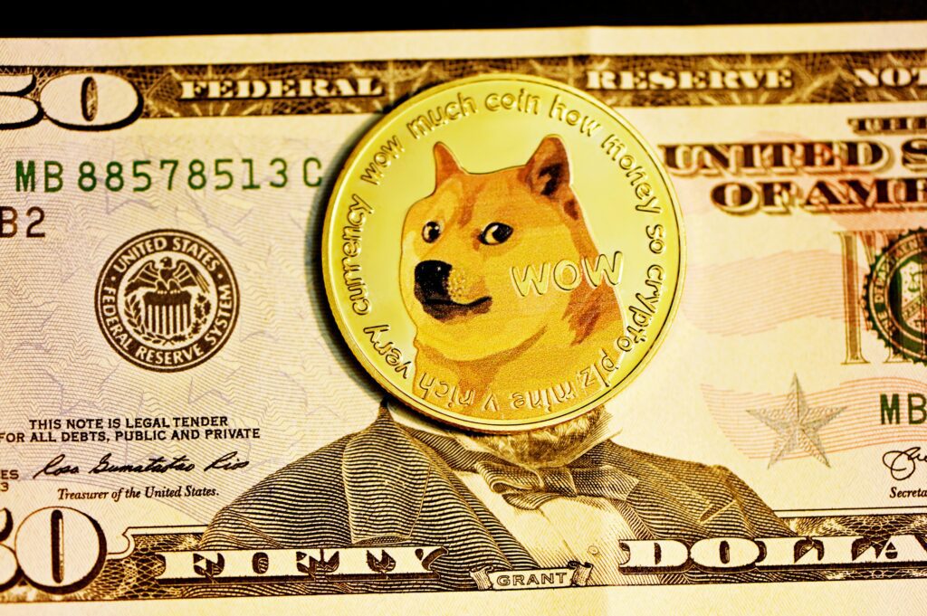 image of a doge coin replica on a 50 dollar bill