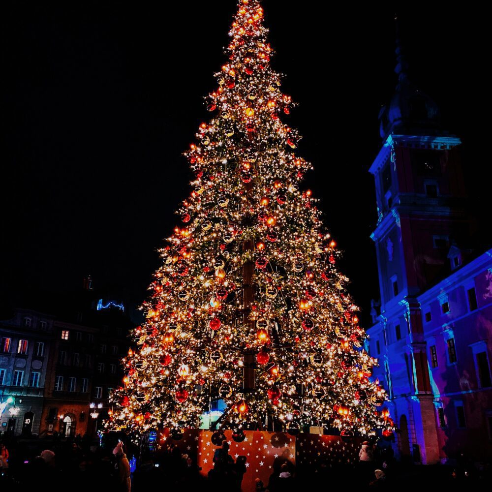very tall lit outdoor christmas tree